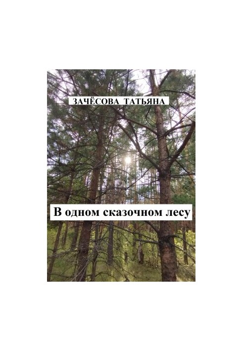 In a Fairytale Forest