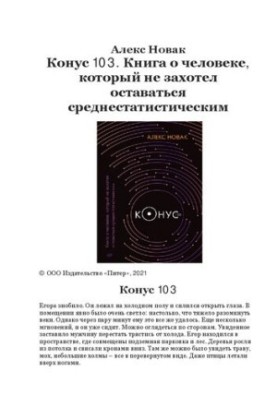 Конус 103. Книга про людину, яка не захотіла залишатися середньостатистичною