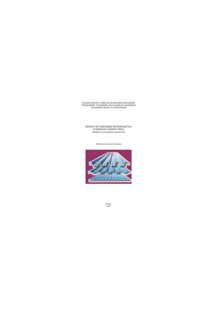 Project for the organization of production in prisons of a new type (general and enhanced regimes)