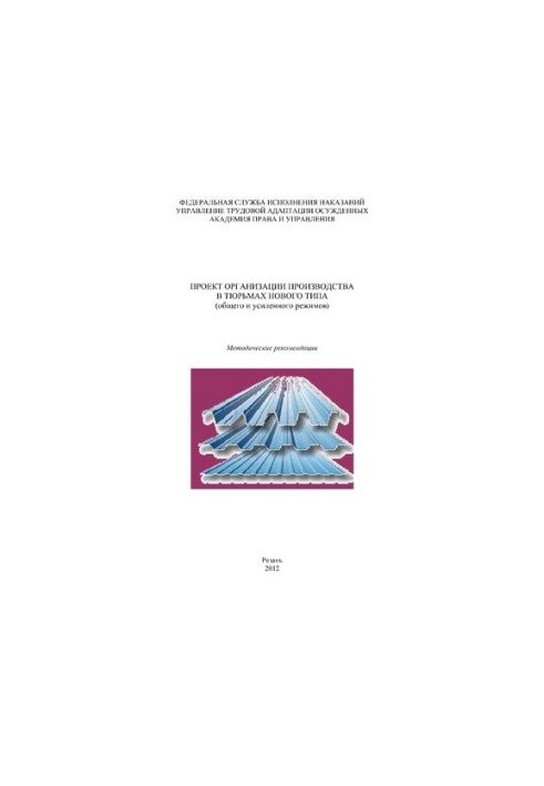 Project for the organization of production in prisons of a new type (general and enhanced regimes)
