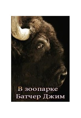 В зоопарке