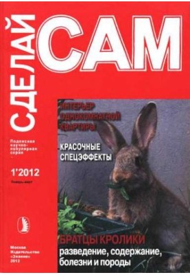 Інтер'єр однокімнатної квартири. Яскраві спецефекти...