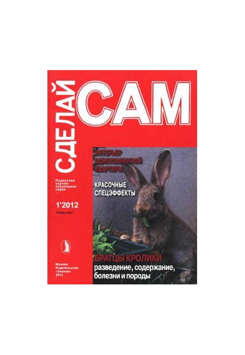 Інтер'єр однокімнатної квартири. Яскраві спецефекти...