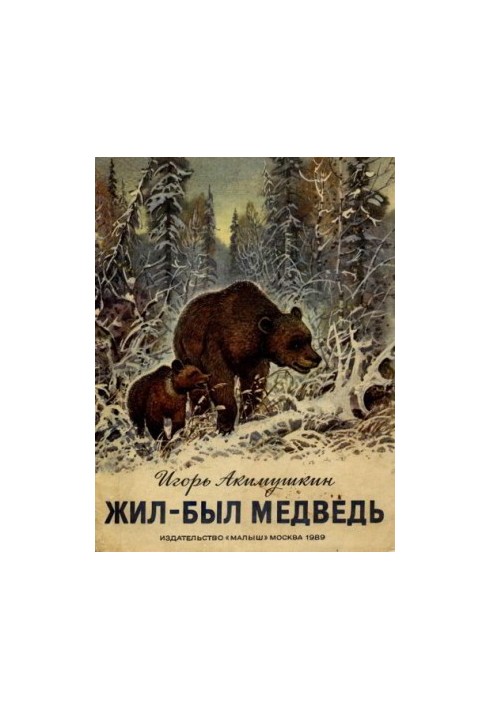 Жив-був ведмідь