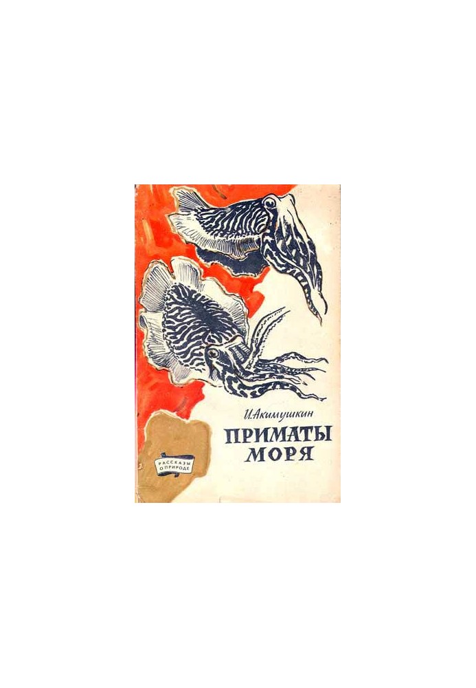 Морські примати