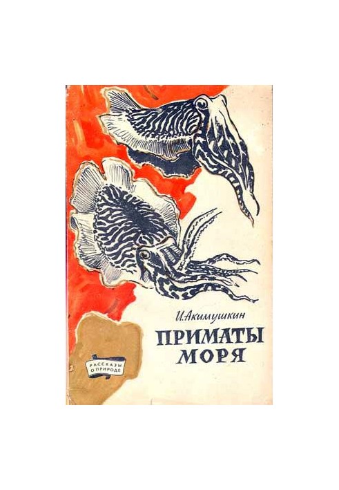 Морські примати