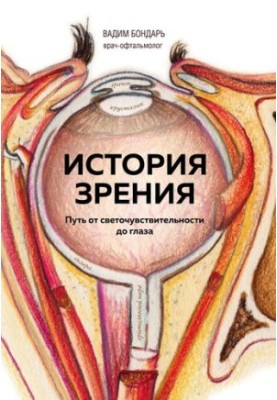 History of vision: the path from light sensitivity to the eye