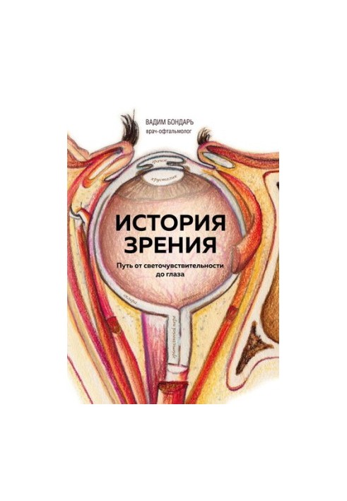 History of vision: the path from light sensitivity to the eye