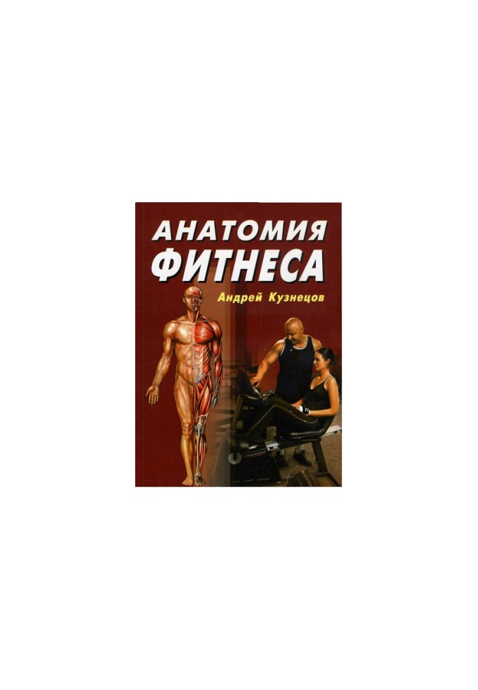 Anatomy of Fitness