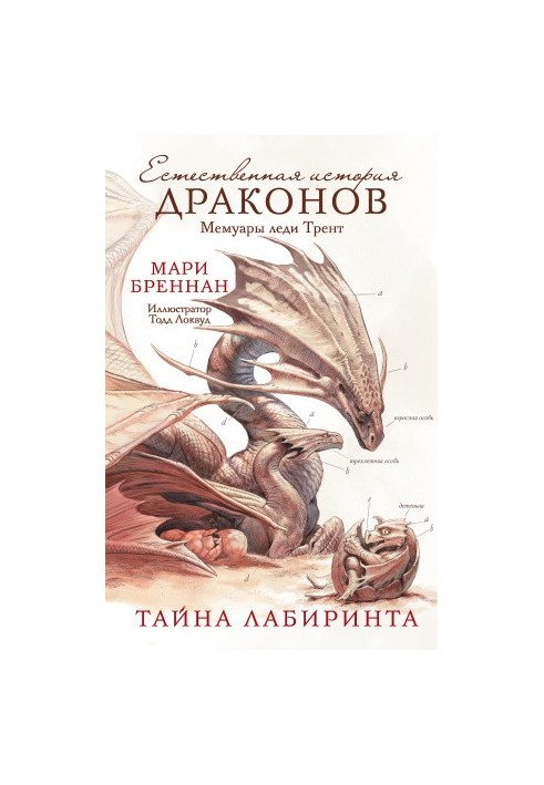 Мемуари леді Трент: Таємниця Лабіринту
