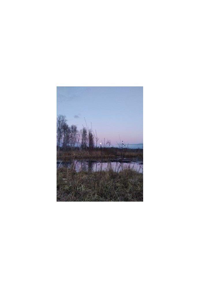 Duck Hunting