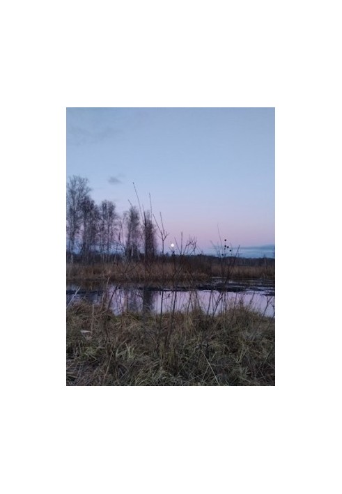 Duck Hunting