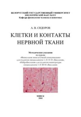 Cells and contacts of nervous tissue