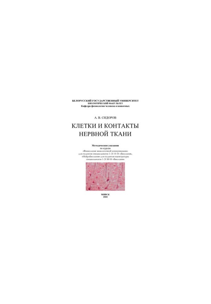 Cells and contacts of nervous tissue