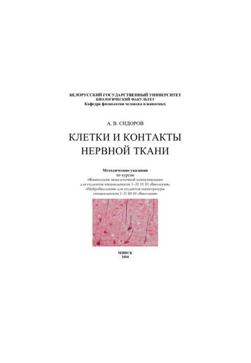 Cells and contacts of nervous tissue