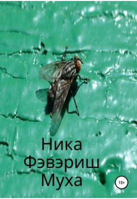 Fly