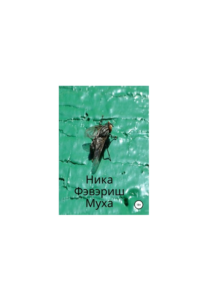 Fly