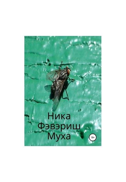 Fly