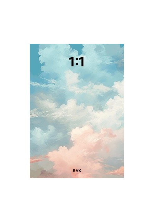 1:1