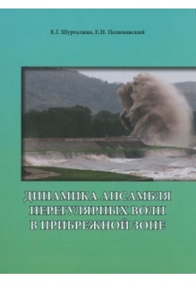 Dynamics of the ensemble of irregular waves in the coastal zone