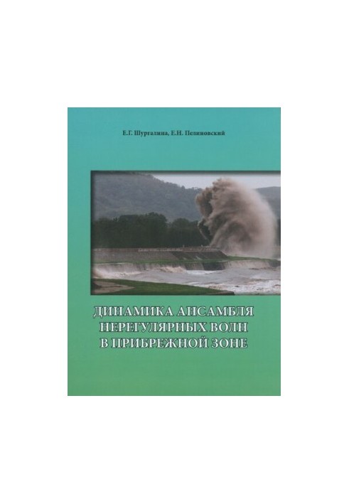Dynamics of the ensemble of irregular waves in the coastal zone