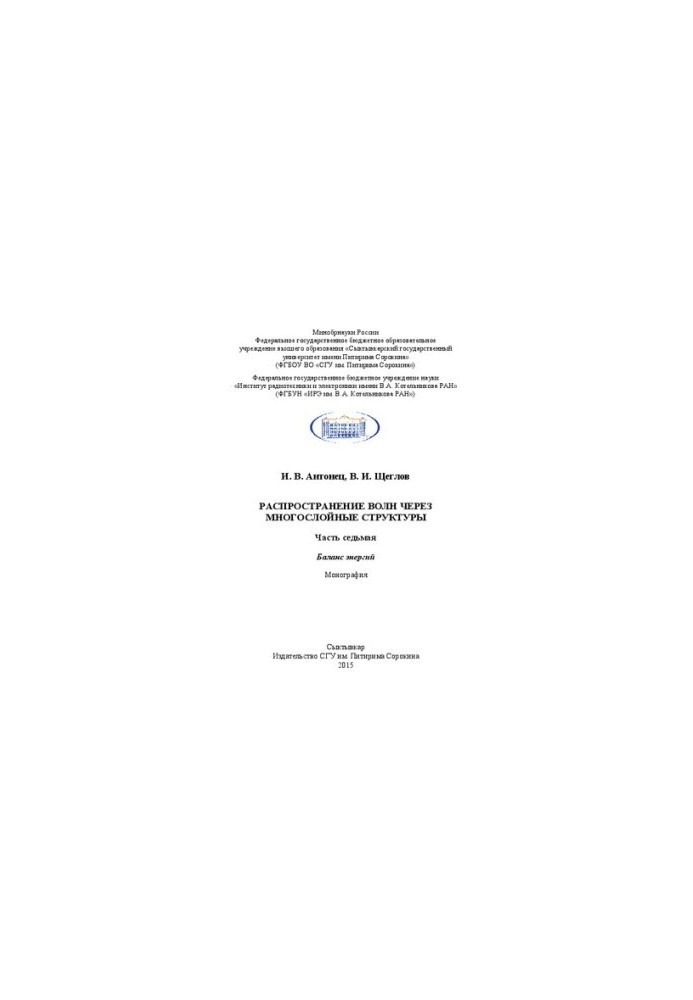 Wave propagation through multilayer structures. Part 7. Balance of energies: Monograph