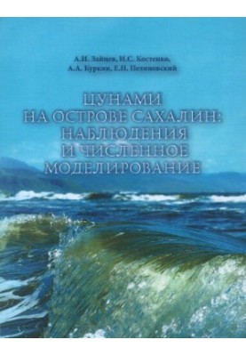 Tsunami on Sakhalin Island: Observations and Numerical Modeling