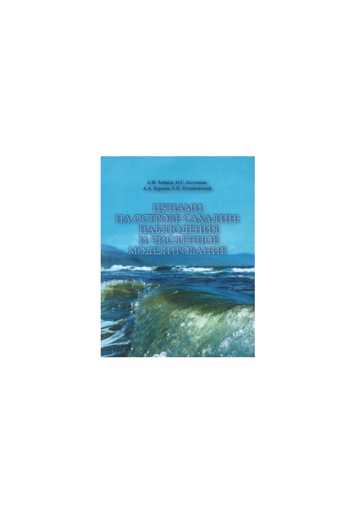 Tsunami on Sakhalin Island: Observations and Numerical Modeling