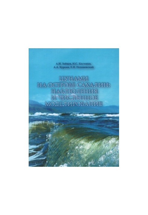 Tsunami on Sakhalin Island: Observations and Numerical Modeling