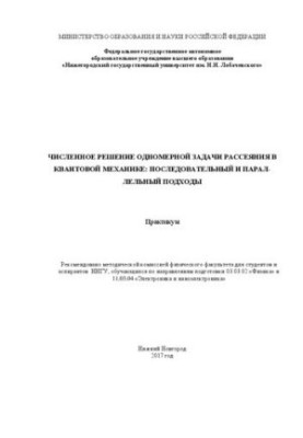 Numerical solution of the one-dimensional scattering problem in quantum mechanics: sequential and parallel approaches: Workshop