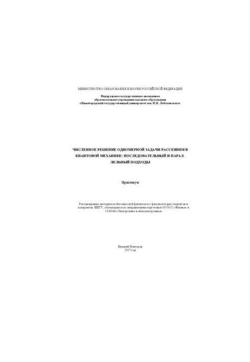 Numerical solution of the one-dimensional scattering problem in quantum mechanics: sequential and parallel approaches: Workshop