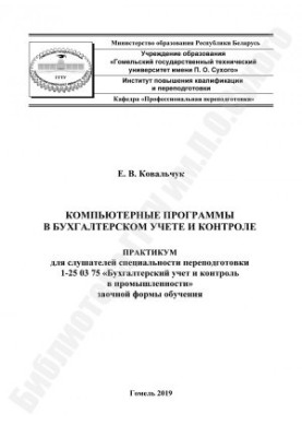 Computer programs in accounting and control