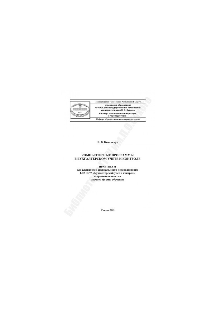 Computer programs in accounting and control