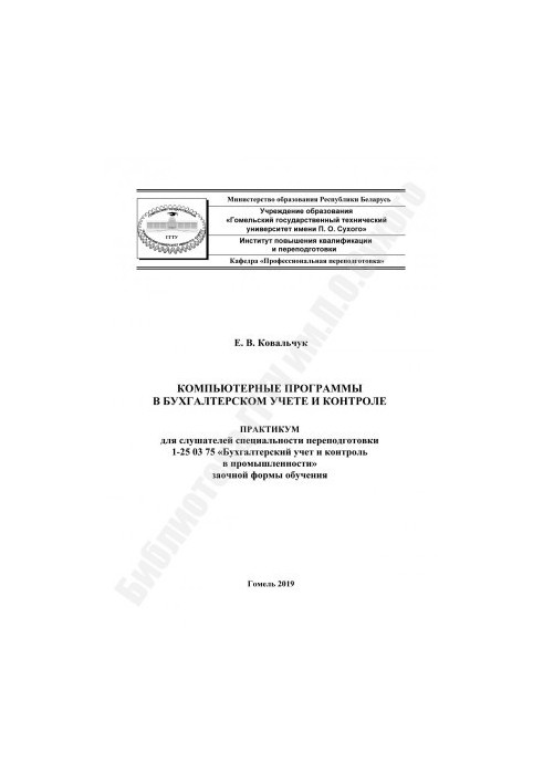 Computer programs in accounting and control