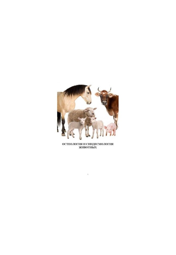 Osteology and syndesmology of animals: Manual for laboratory and independent classes for students of the 1st year of full-time and
