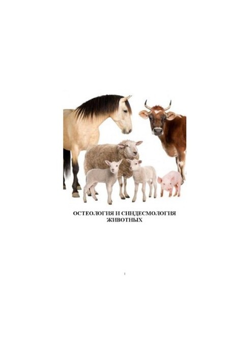 Osteology and syndesmology of animals: Manual for laboratory and independent classes for students of the 1st year of full-time and