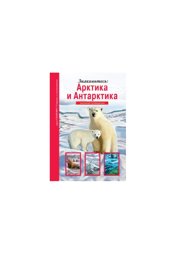 Знакомьтесь: Арктика и Антарктика