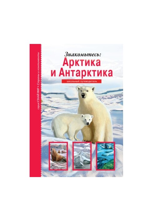 Знакомьтесь: Арктика и Антарктика