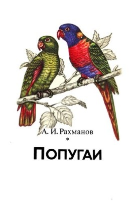 Попугаи.