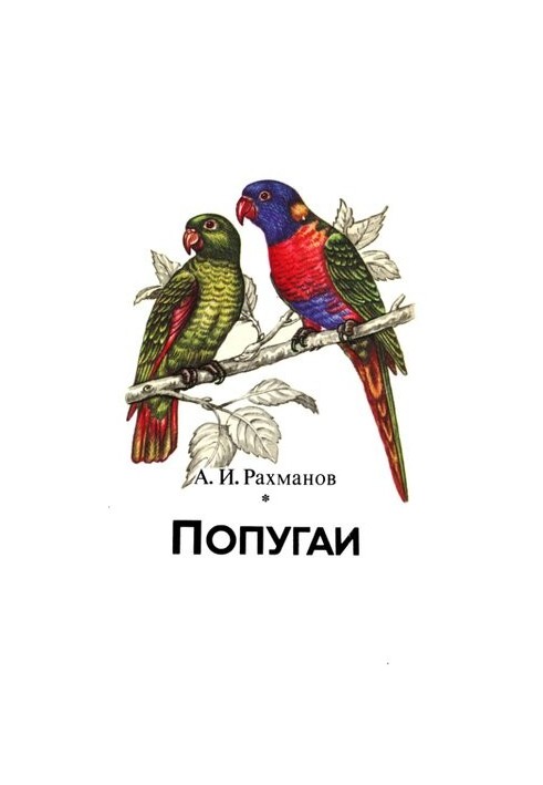 Попугаи.