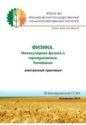 Physics. Molecular physics and thermodynamics. Fluctuations: electronic workshop
