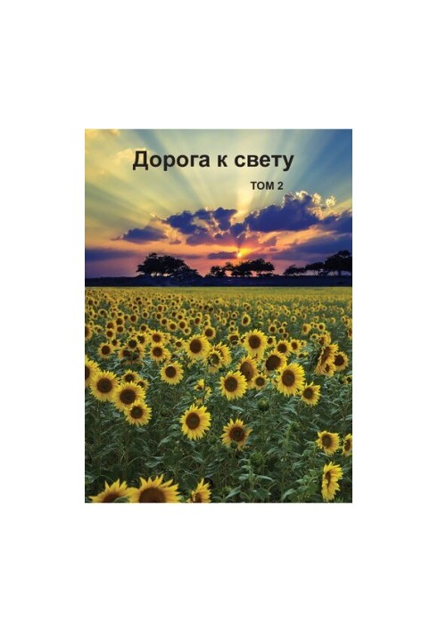 Шлях до світла. Том 2. Курс навчання дорослих читанню та письму з використанням матеріалів з Біблії
