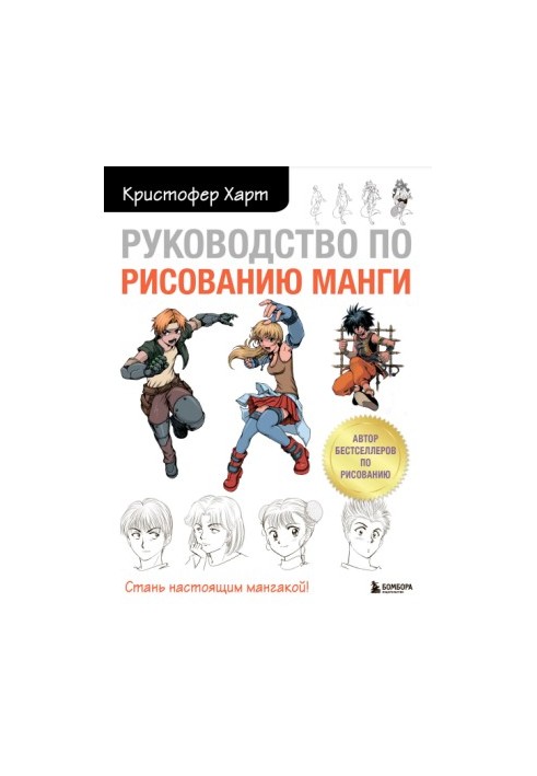 Manga Drawing Guide
