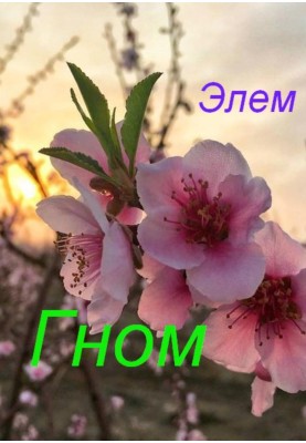 Гном
