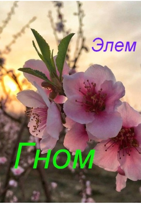 Гном