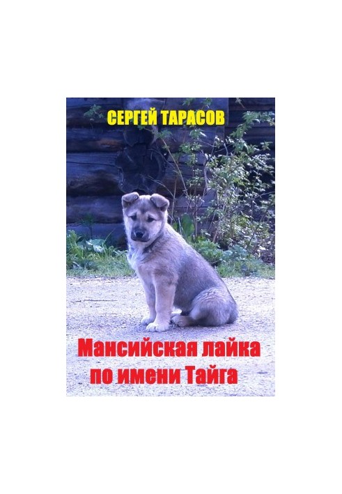 Мансийская лайка по имени Тайга