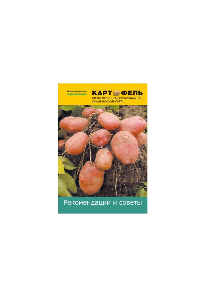 Картофель. Рекомендации и советы