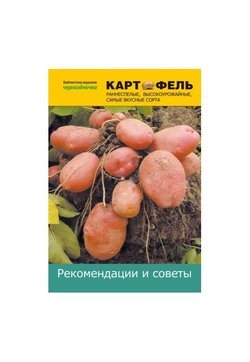 Картофель. Рекомендации и советы
