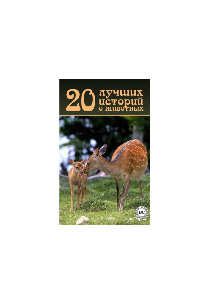 20 лучших историй о животных