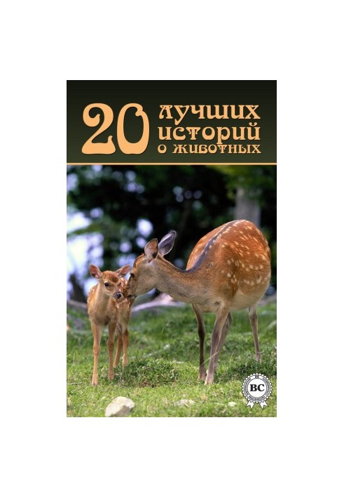 20 лучших историй о животных